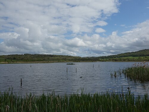 RSPB Leighton Moss